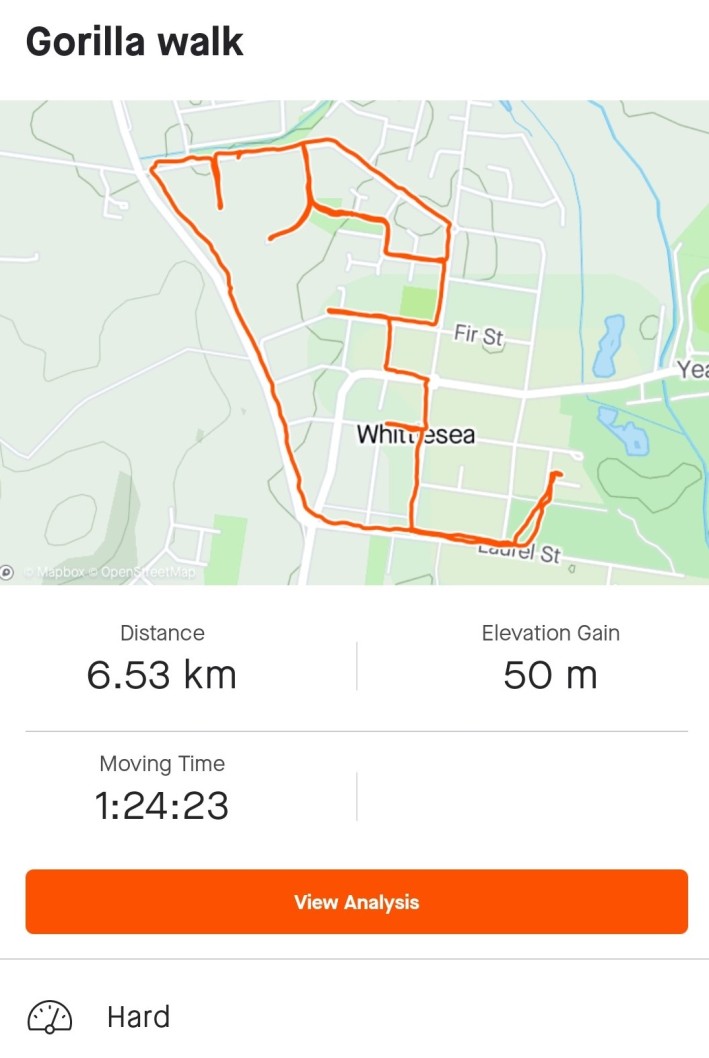 Strava 2024 run walk